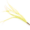 Feather Spiky Biot Bunch