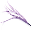 Feather Spiky Biot Bunch