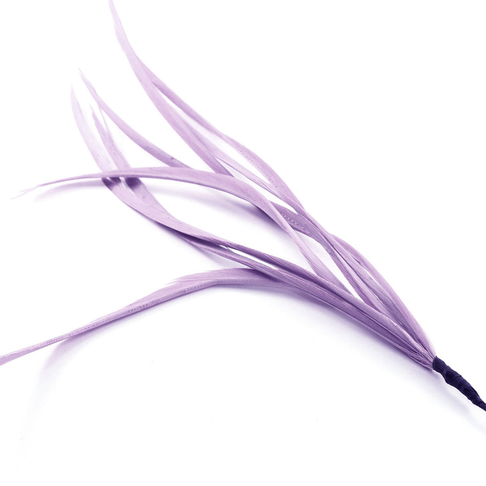 Feather Spiky Biot Bunch