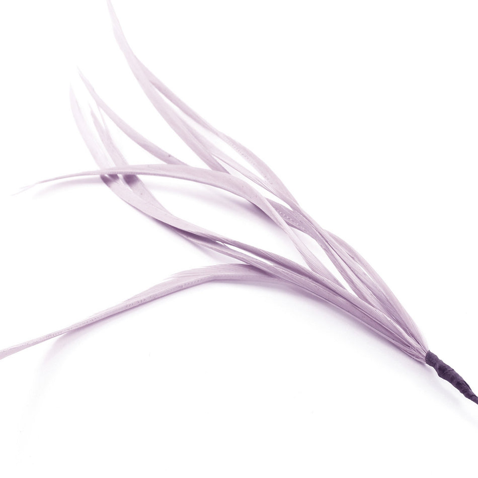 Feather Spiky Biot Bunch