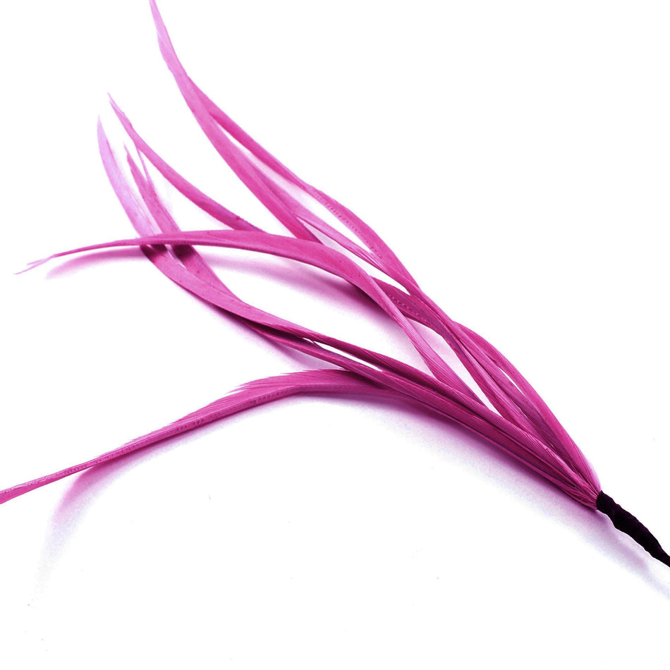 Feather Spiky Biot Bunch