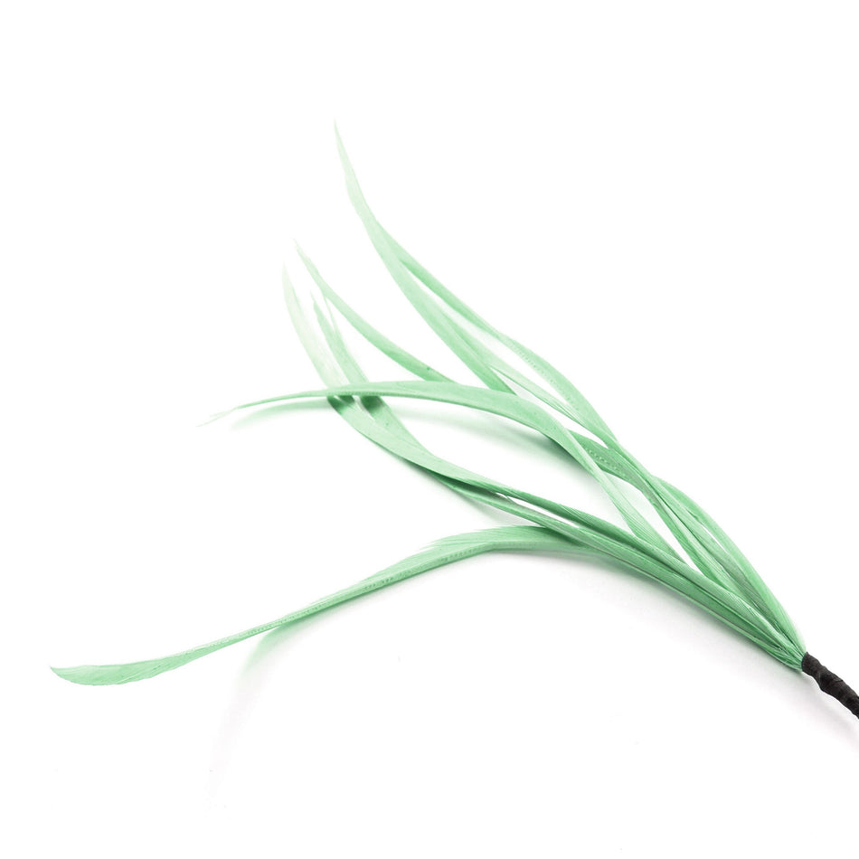 Feather Spiky Biot Bunch