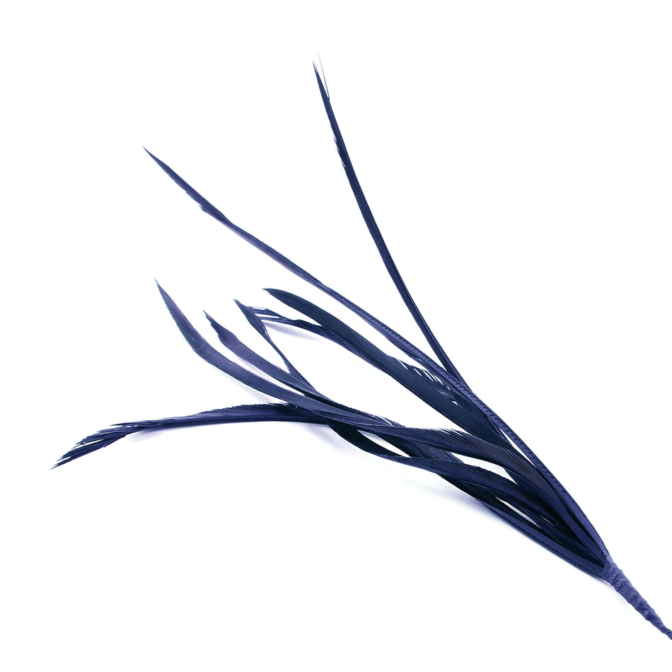 Feather Spiky Biot Bunch