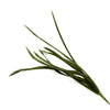 Feather Spiky Biot Bunch