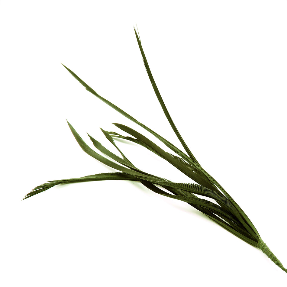 Feather Spiky Biot Bunch