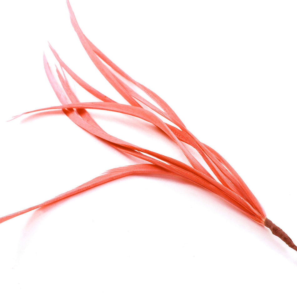 Feather Spiky Biot Bunch