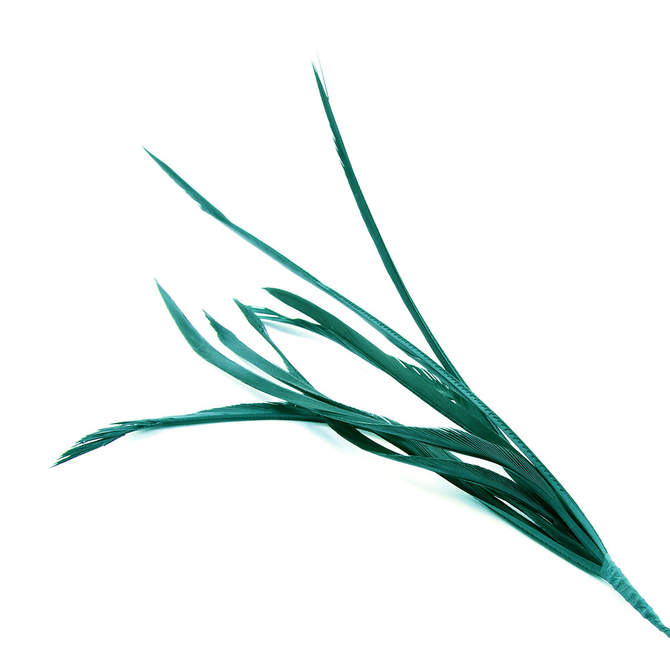 Feather Spiky Biot Bunch