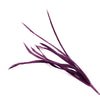 Feather Spiky Biot Bunch