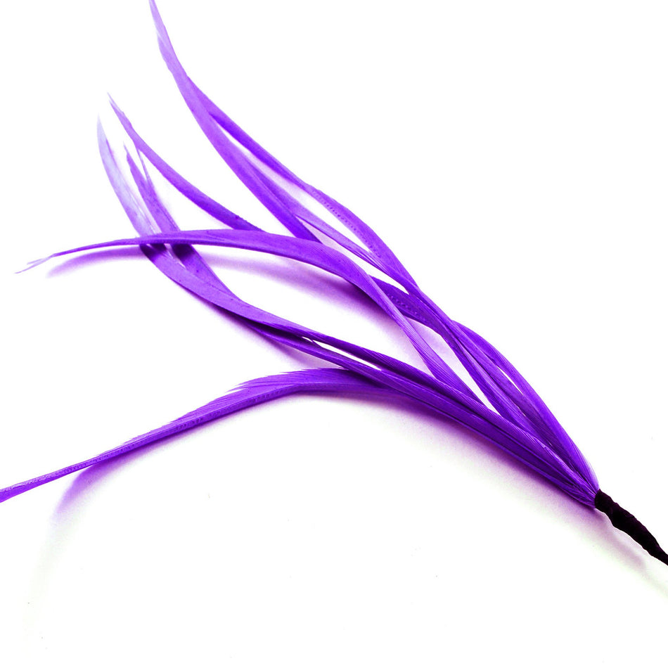 Feather Spiky Biot Bunch