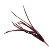 Feather Spiky Biot Bunch