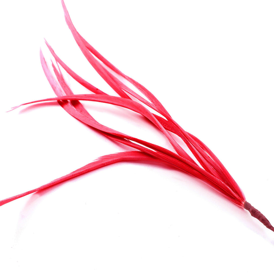 Feather Spiky Biot Bunch