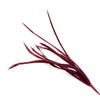 Feather Spiky Biot Bunch