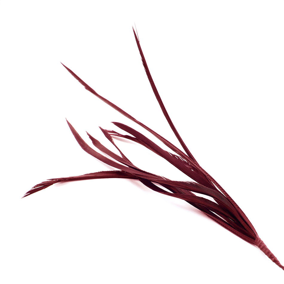 Feather Spiky Biot Bunch