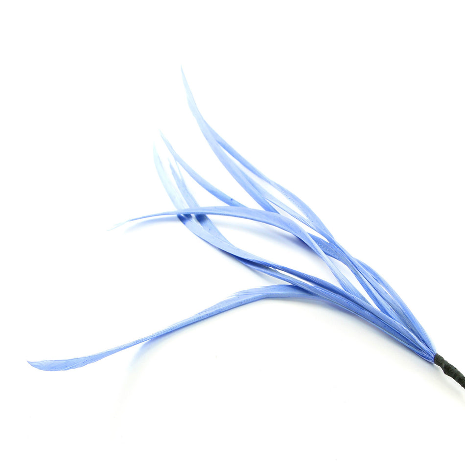 Feather Spiky Biot Bunch