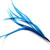 Feather Spiky Biot Bunch