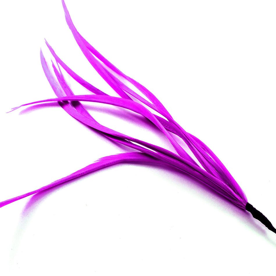 Feather Spiky Biot Bunch
