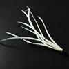 Feather Spiky Biot Bunch