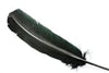 Turkey Feather - Quill