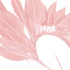 Feather Wire Mount - Coque Feather Spray - Diamond Tail