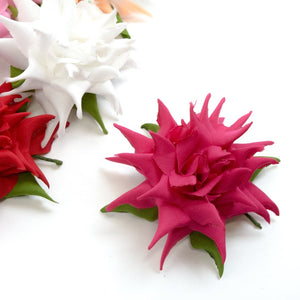 Flower Cactus Dahlia