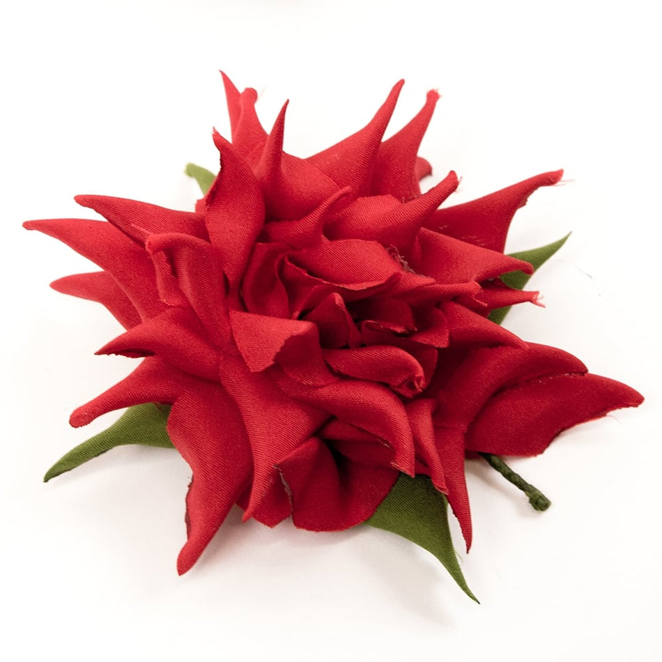 Flower Cactus Dahlia