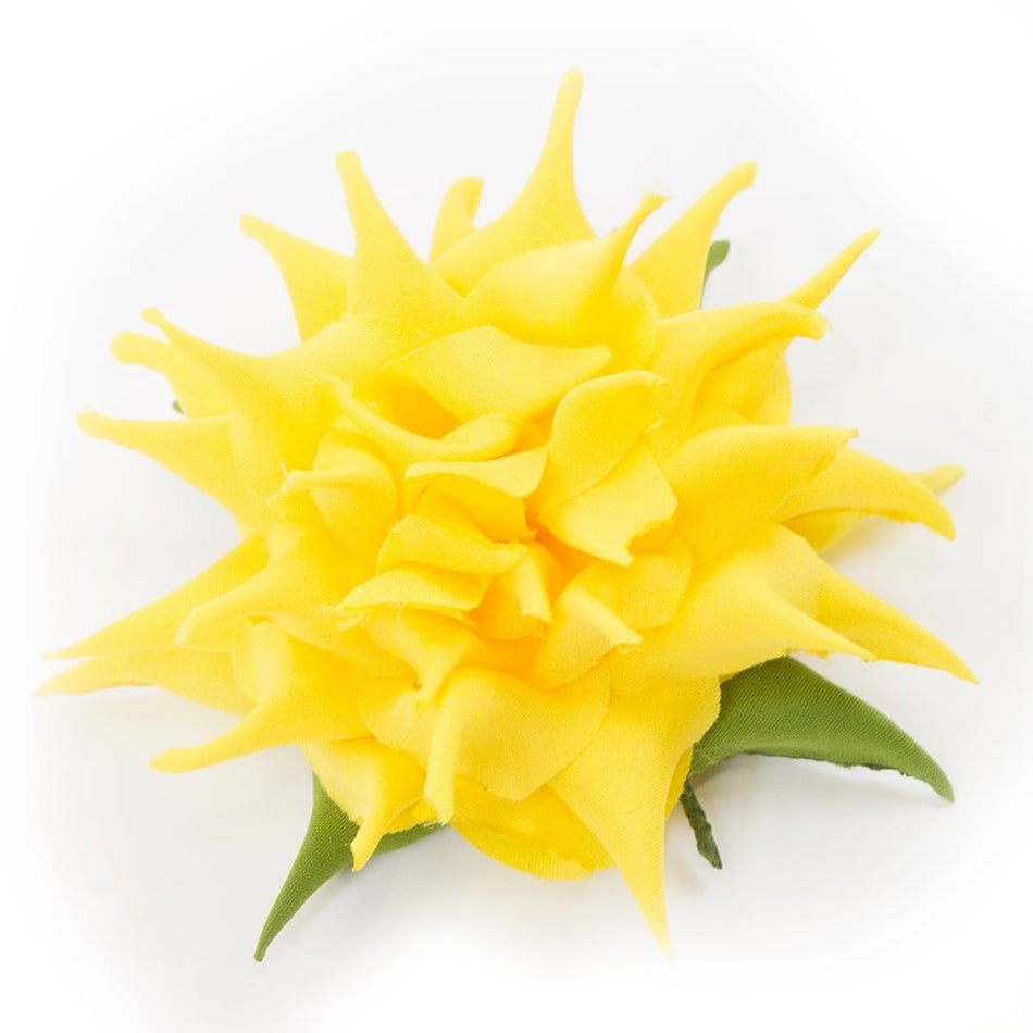 Flower Cactus Dahlia