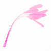 Stripped Coque Feather Bunch