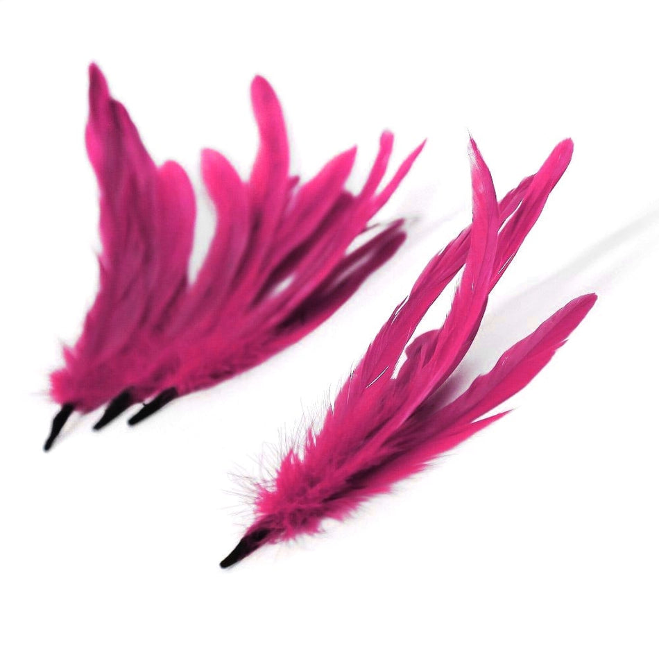 Coque Feather Bunch