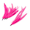 Coque Feather Bunch