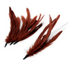 Coque Feather Bunch