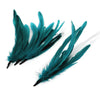 Coque Feather Bunch