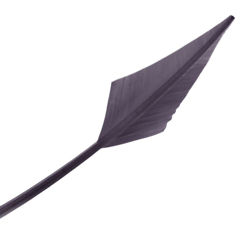 Turkey Feather Arrowhead