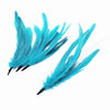 Coque Feather Bunch