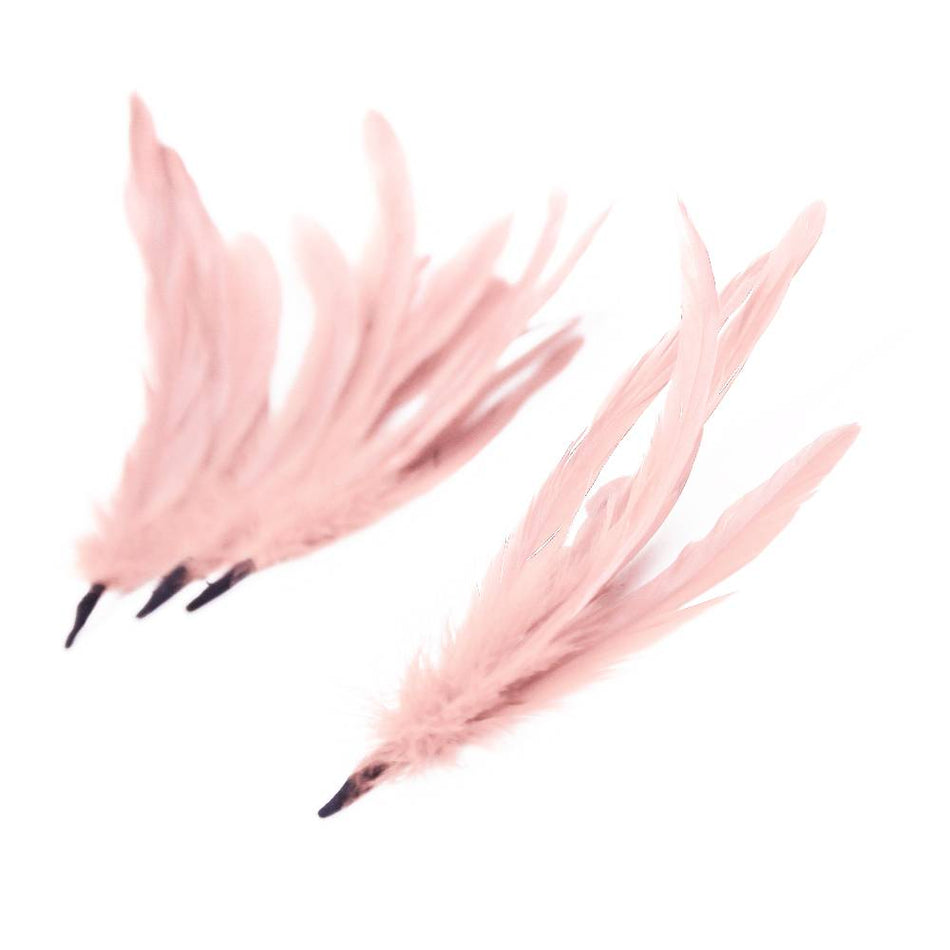 Coque Feather Bunch