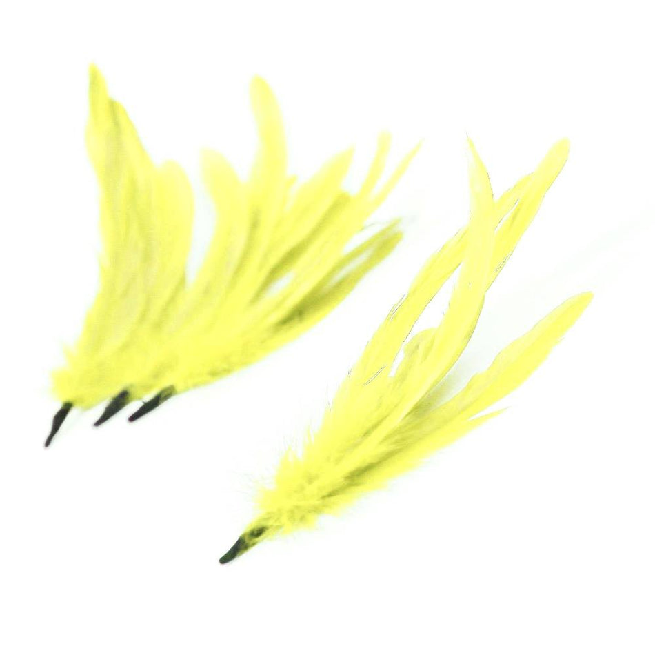 Coque Feather Bunch