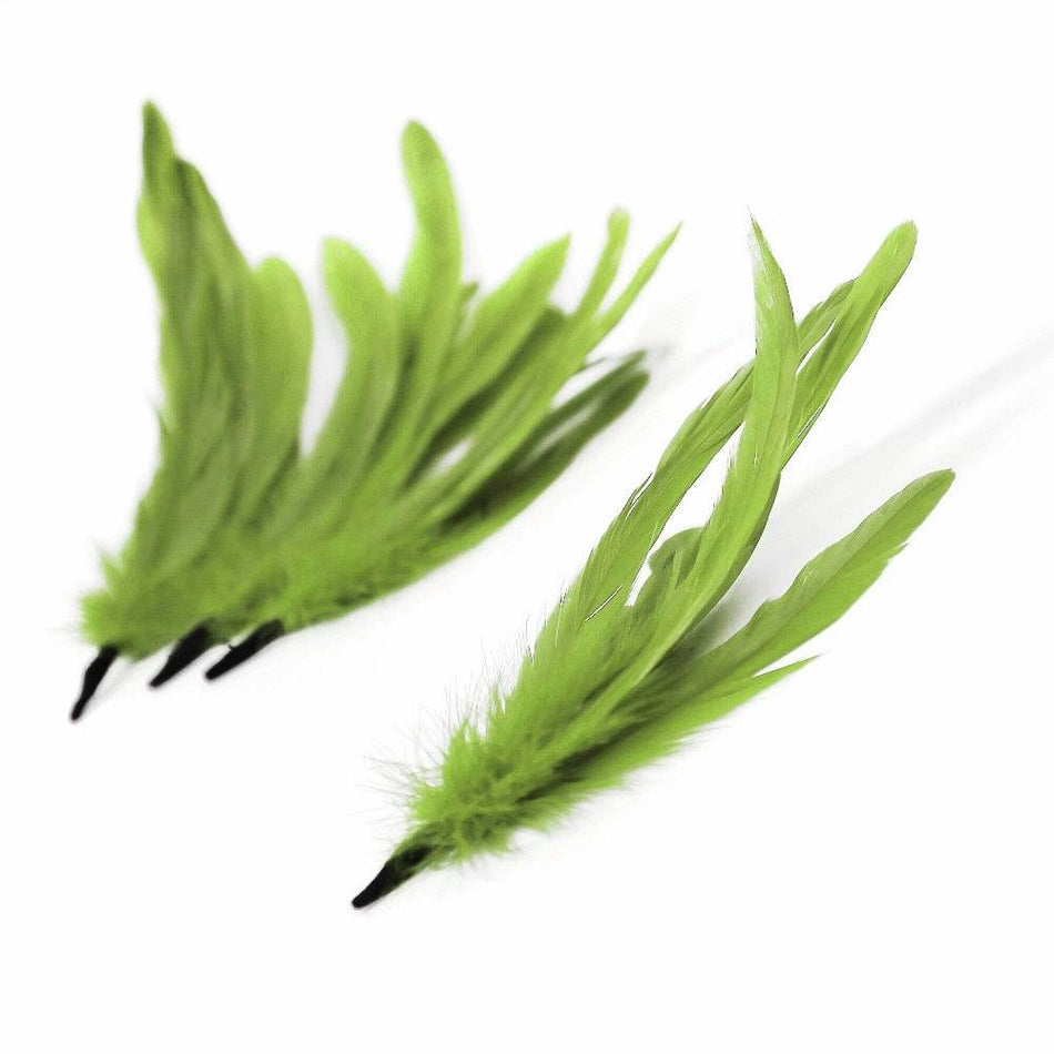 Coque Feather Bunch