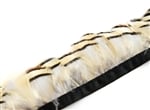 French Partridge Feather Fringe
