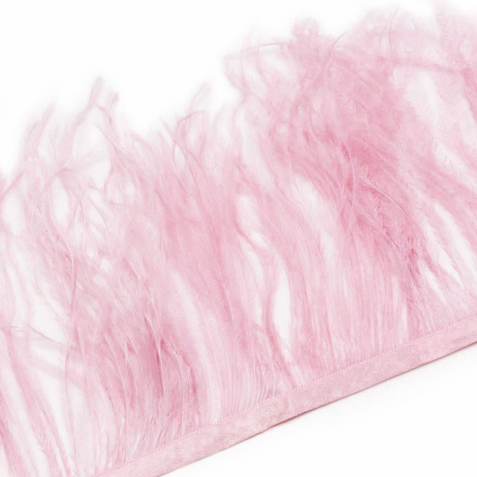 Ostrich Feather Fringe