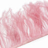Ostrich Feather Fringe