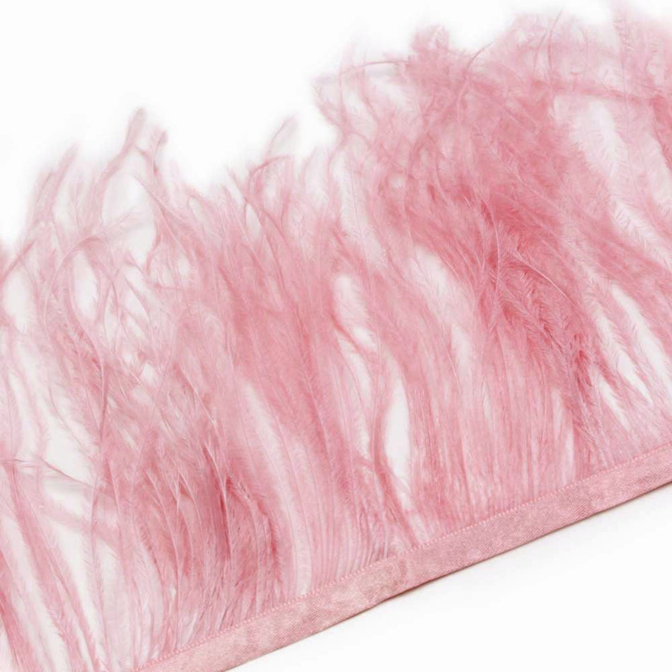 Ostrich Feather Fringe