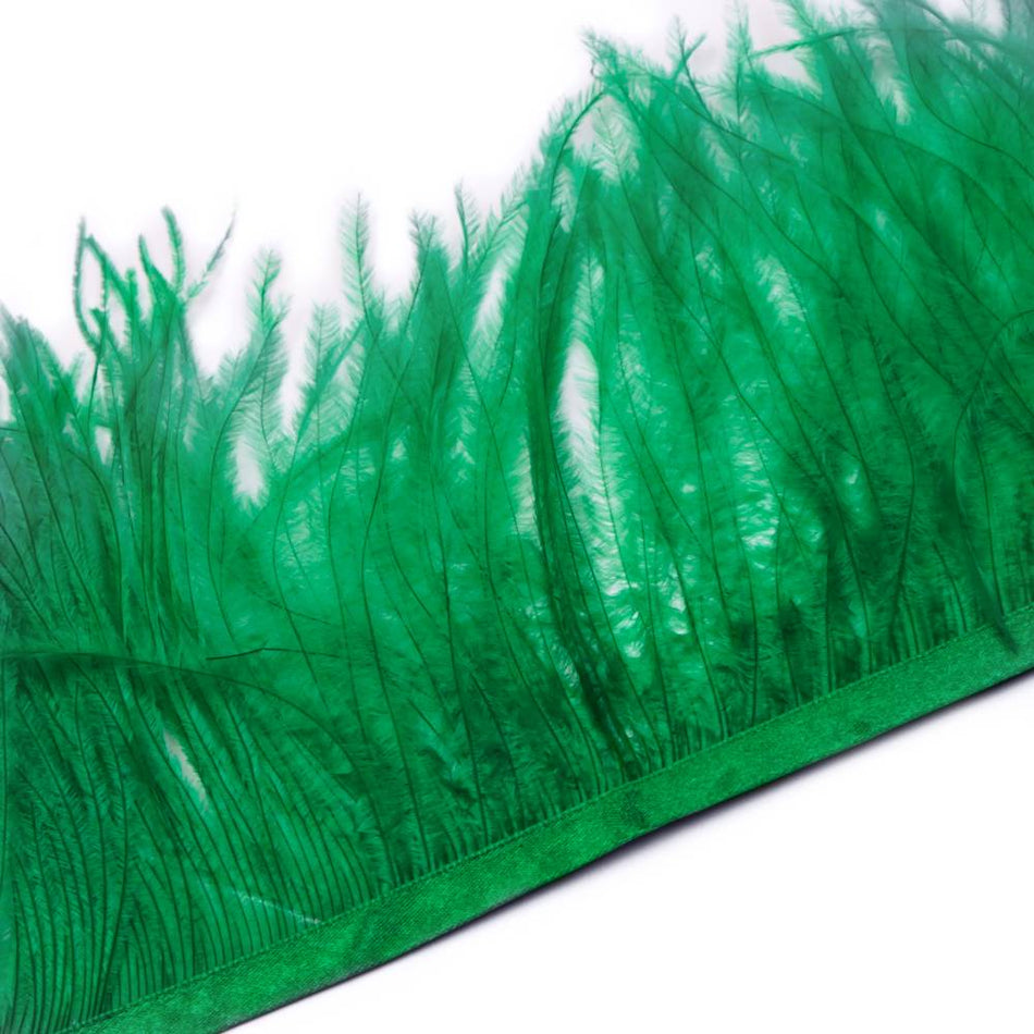 Ostrich Feather Fringe