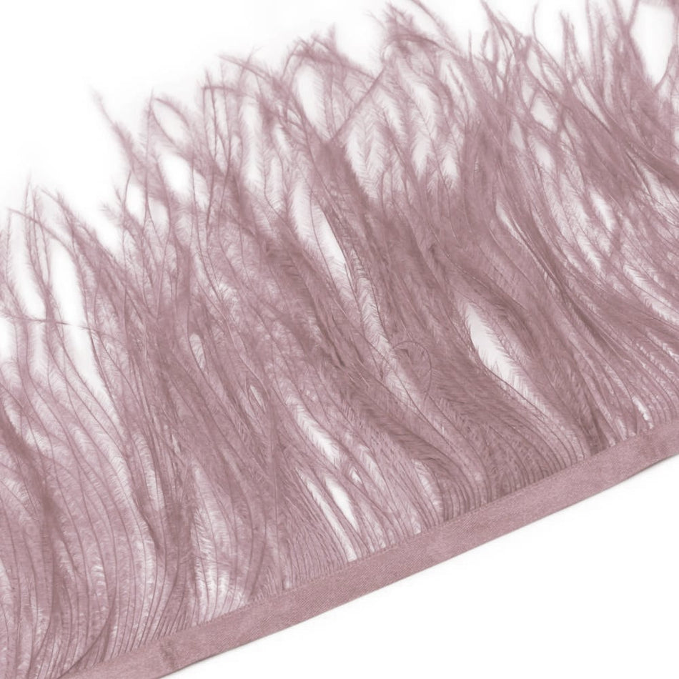 Ostrich Feather Fringe
