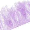 Ostrich Feather Fringe