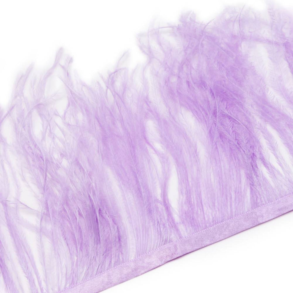 Ostrich Feather Fringe