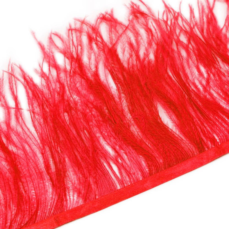 Ostrich Feather Fringe