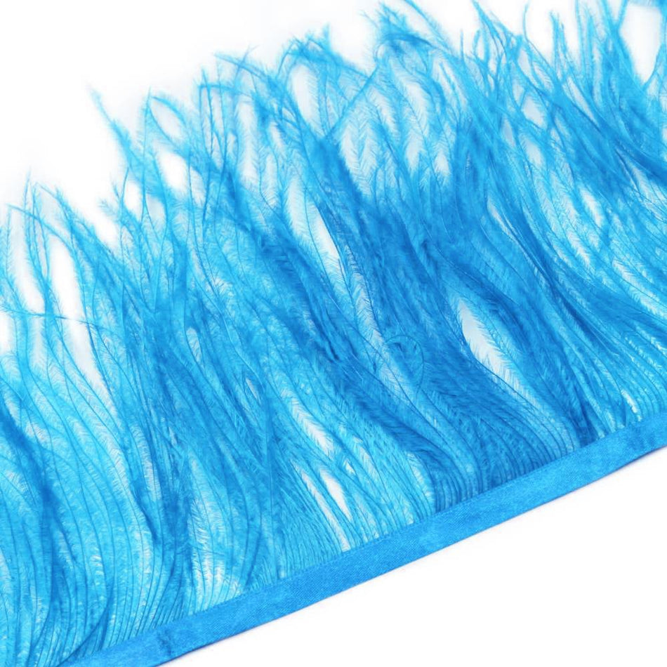 Ostrich Feather Fringe