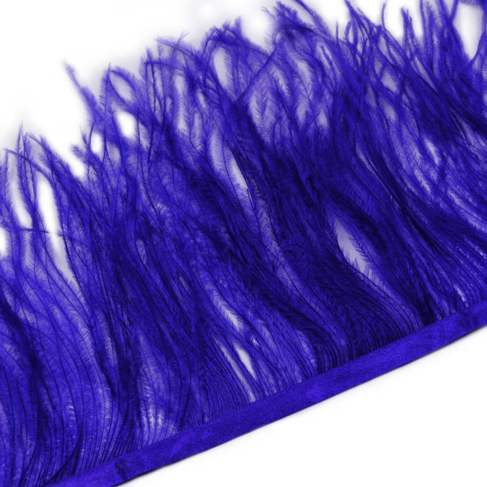 Ostrich Feather Fringe