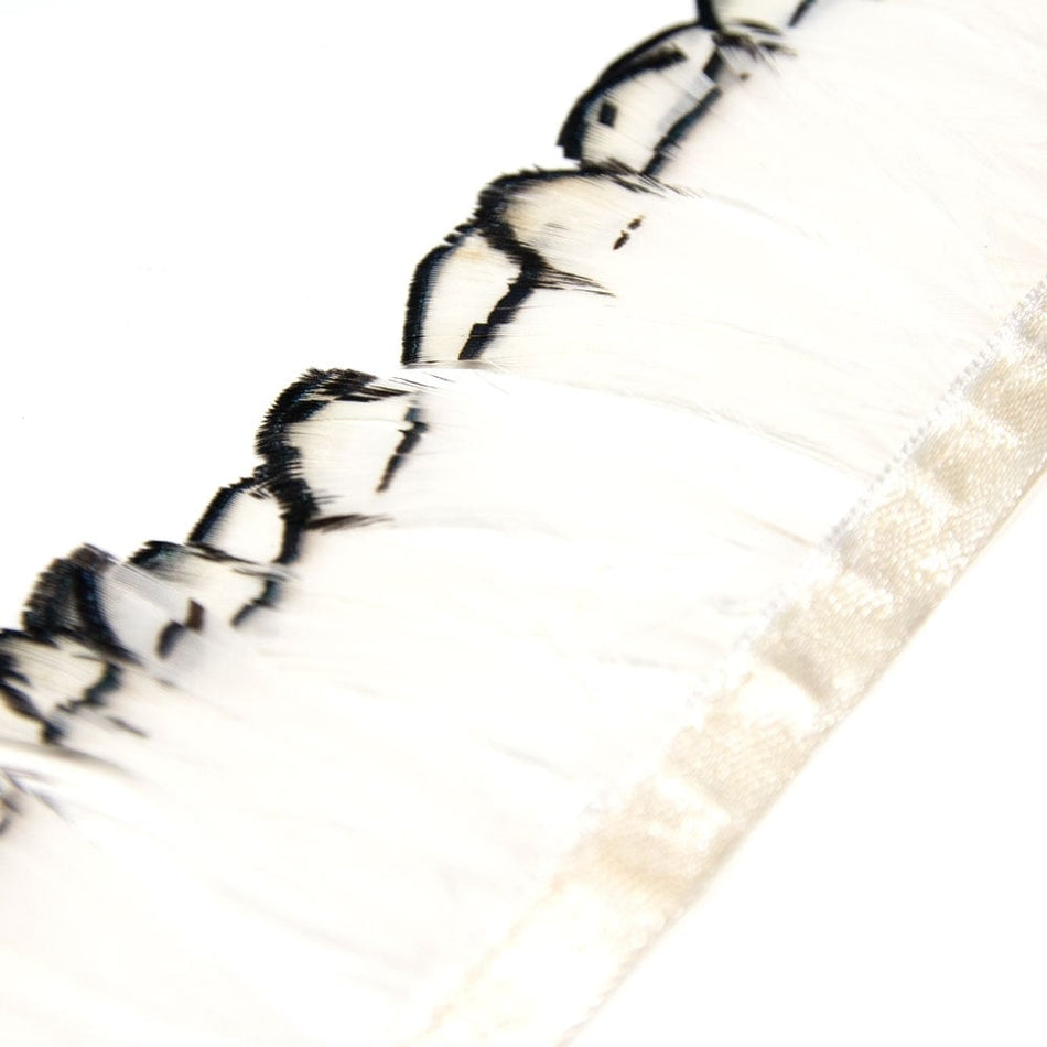 Lady Amherst Plumage Feather Fringe