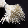 Flower Stamen - Pearlized Tapered Stamens