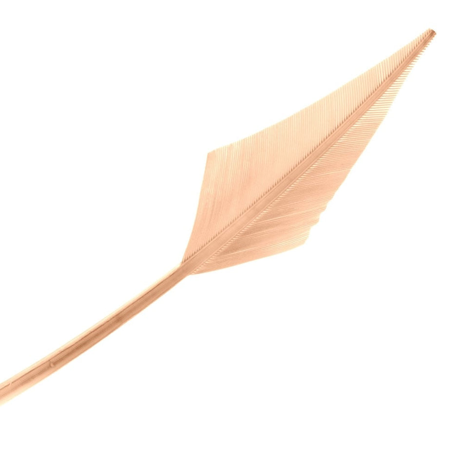 Turkey Feather Arrowhead
